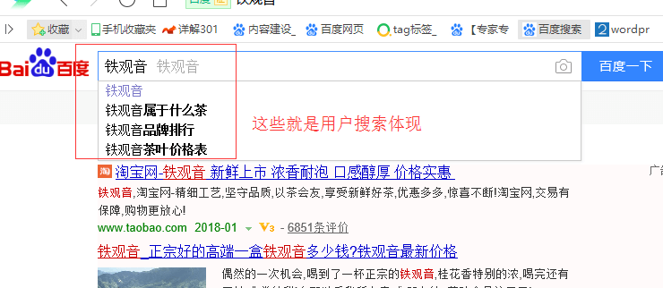 网站定位与关键词查询分析