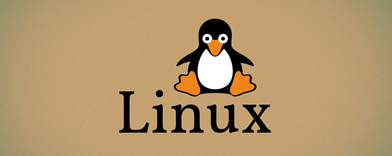 Linux中如何更改文件的所属用户和组别？第1张