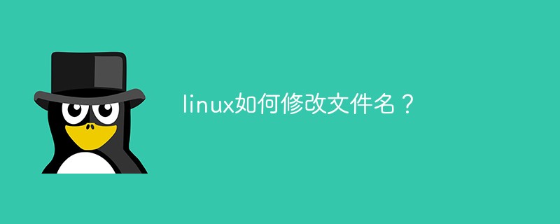 linux如何修改文件名？第1张