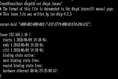 linux怎么启动dhcp服务器第4张