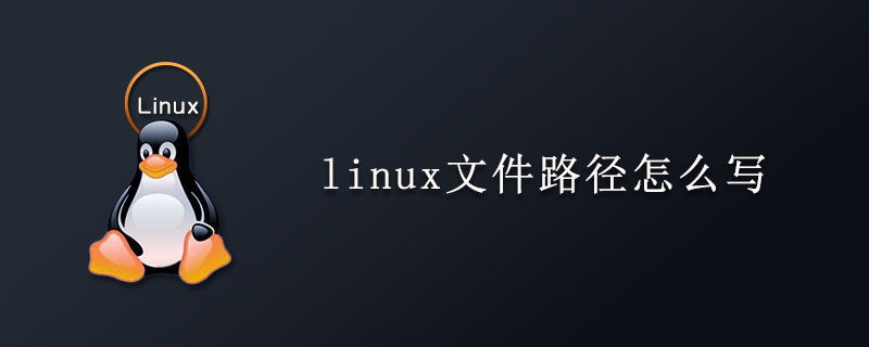 linux文件路径怎么写?第1张