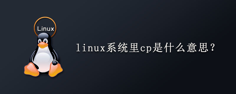 linux系统里cp是什么意思？第1张