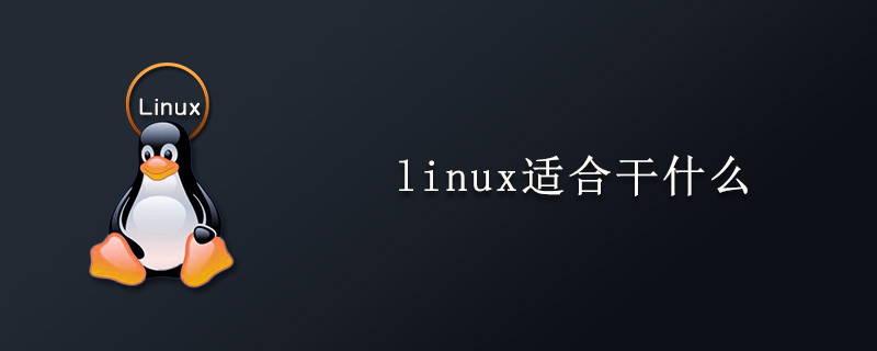 linux适合干什么？第1张