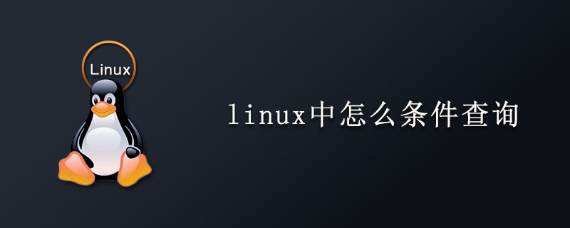 linux中怎么条件查询第1张