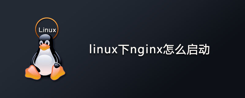 linux下nginx怎么启动?第1张