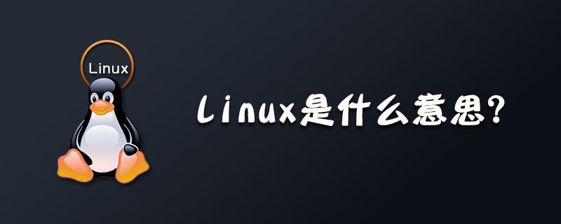 Linux是什么意思？第1张