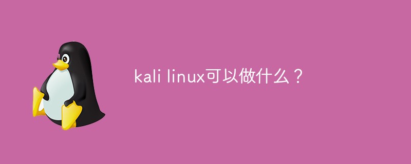 kali linux可以做什么？第1张