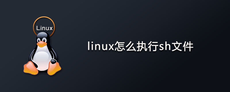 linux怎么执行sh文件第1张