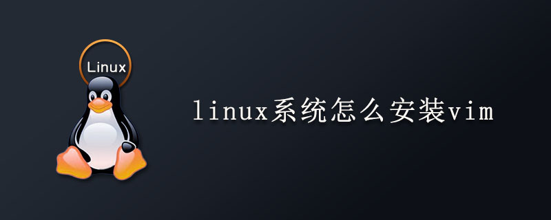 linux系统怎么安装vim第1张