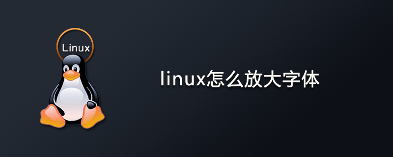 linux怎么放大字体第1张