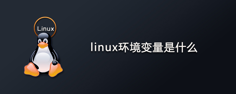 linux环境变量是什么意思第1张