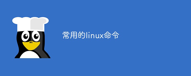 常用的linux命令第1张