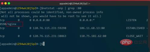 linux如何查看nginx是否启动第1张