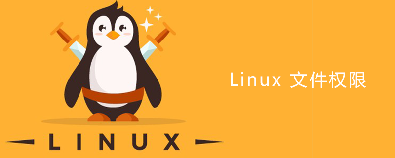 Linux 文件权限第1张