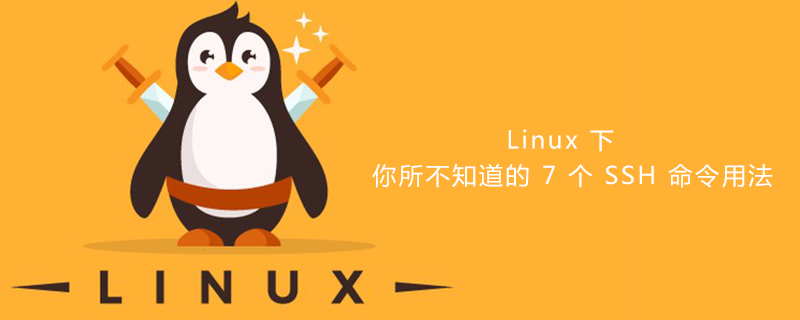 Linux 下你所不知道的 7 个 SSH 命令用法第1张