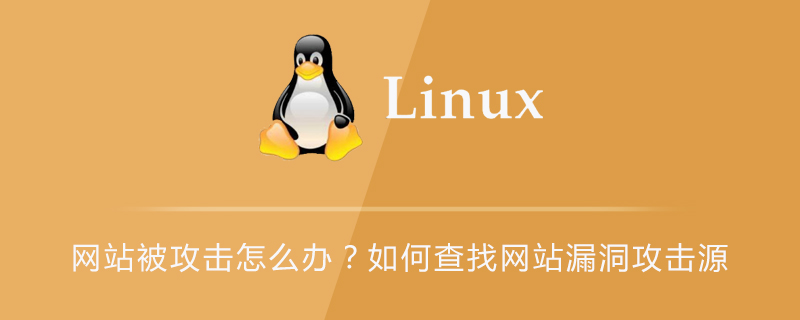 网站被攻击怎么办？如何查找网站漏洞攻击源第1张