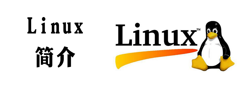 LINUX是什么第1张