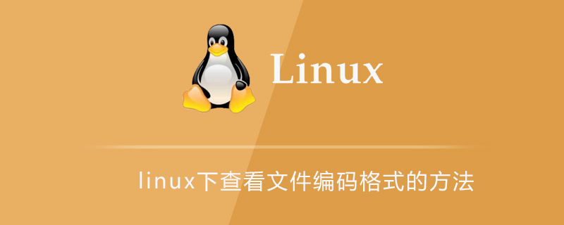 linux下查看文件编码格式的方法第1张