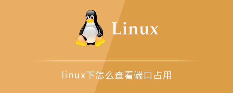 linux下怎么查看哪些端口被占用第1张