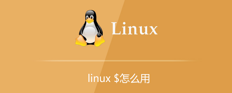 linux中$符号怎么用第1张