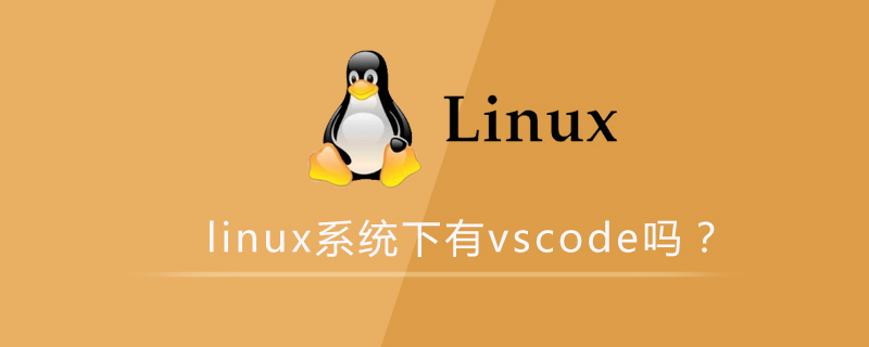 linux系统下有vscode吗第1张