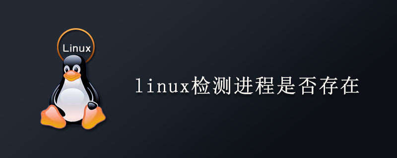 linux检测进程是否存在第1张