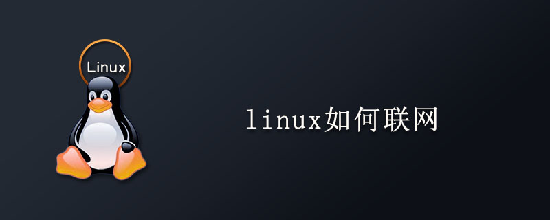 linux如何联网第1张