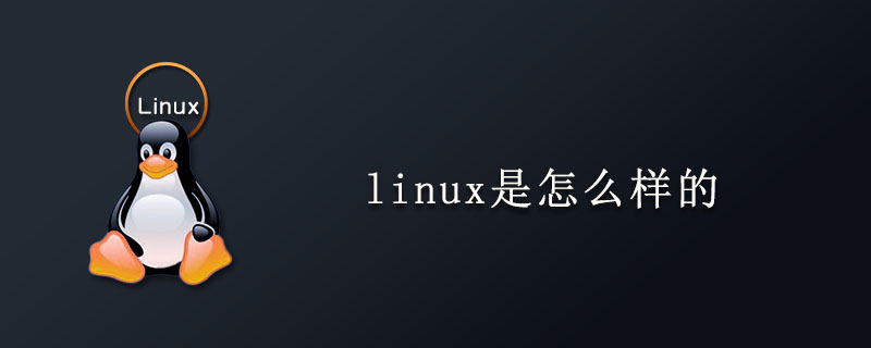 linux是怎么样的第1张