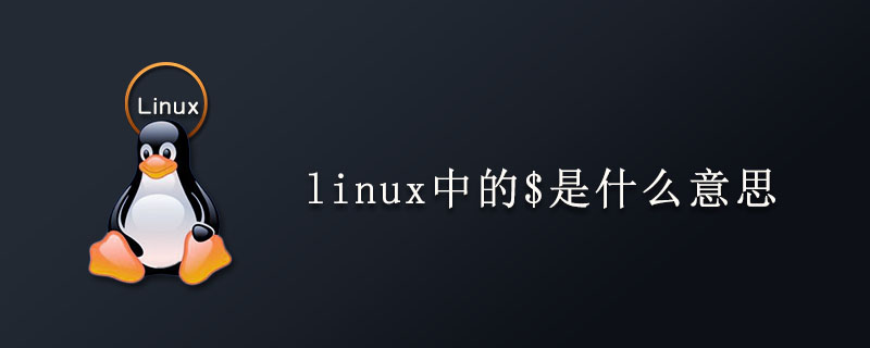 linux中的$是什么意思第1张