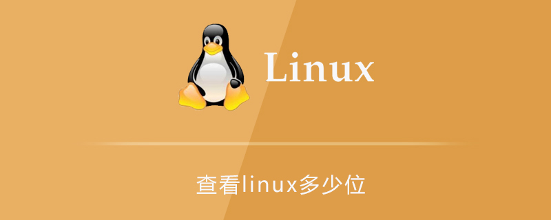 查看linux多少位第1张