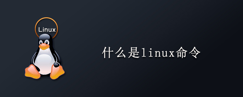 什么是linux命令第1张