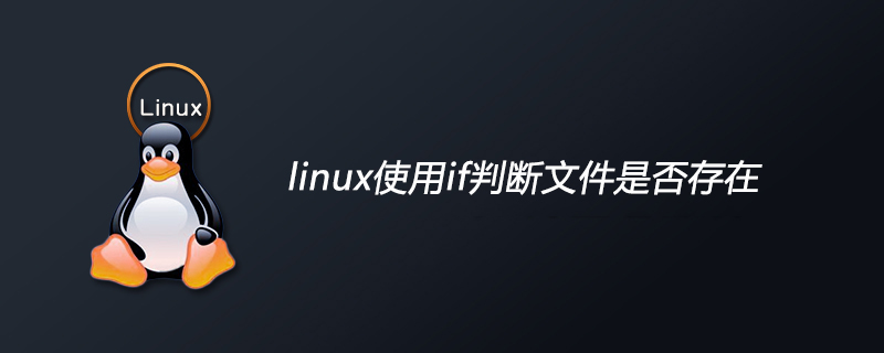 linux使用if判断文件是否存在第1张