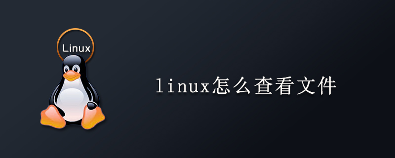 linux怎么查看文件第1张