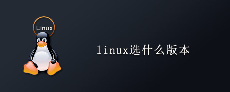 linux选什么版本第1张