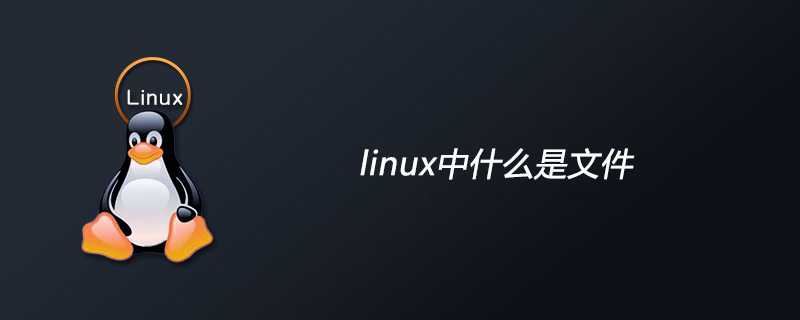 linux中什么是文件第1张