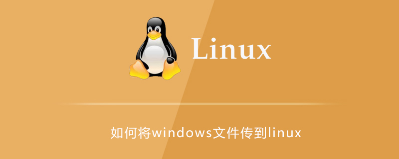 如何将windows文件传到linux第1张