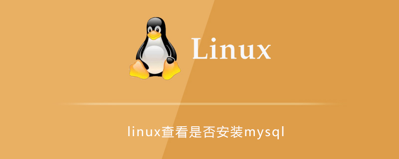 linux中如何查看是否安装mysql第1张