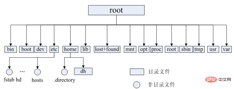 Linux基础知识介绍（后端必备）第1张