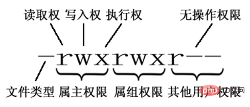 Linux基础知识介绍（后端必备）第1张