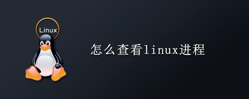 怎么查看linux进程第1张