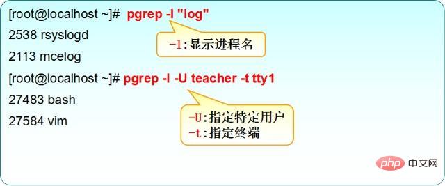 怎么查看linux进程第1张