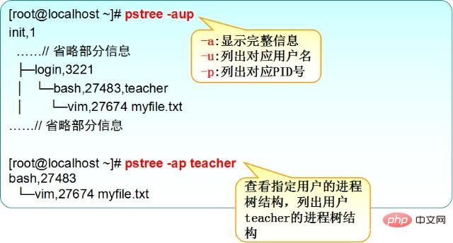 怎么查看linux进程第1张