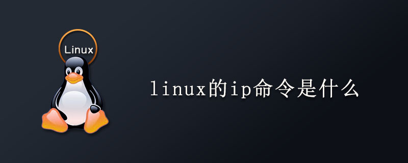 linux的ip命令是什么第1张