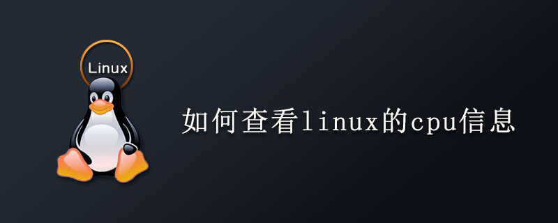 如何查看linux的cpu信息第1张