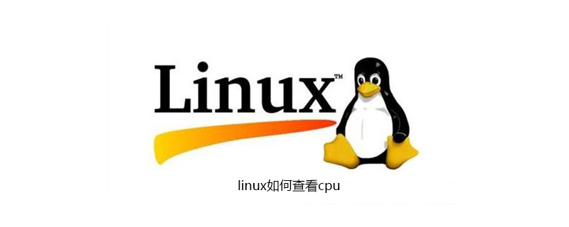 linux如何查看cpu第1张