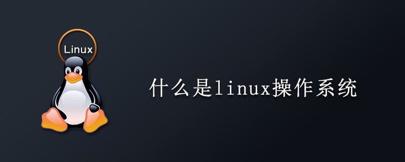 什么是linux操作系统第1张