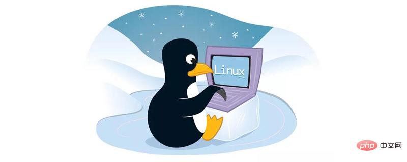 关于Linux中的文件夹存放位置的介绍第1张