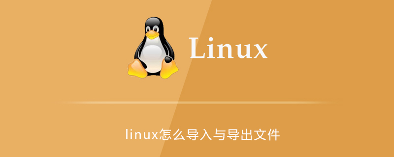 linux怎么导入与导出文件第1张