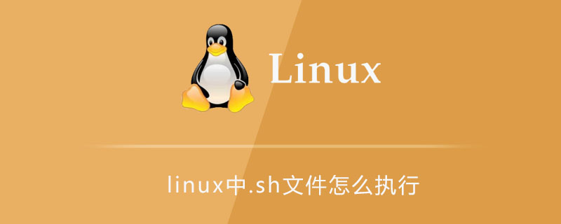 linux中.sh文件怎么执行第1张