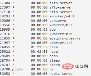 linux下如何查看一个服务的安装路径在哪第1张